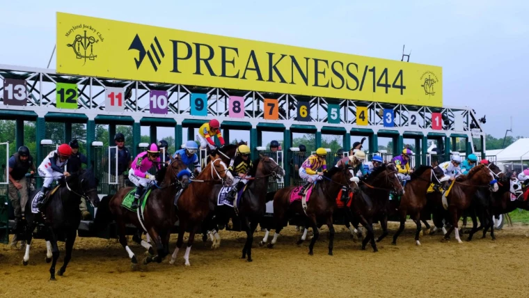 The full field bursts from the starting gate beneath the yellow Preakness sign, in 2019. The Preakness Stakes at Pimlico, Baltimore, in the season calendar of The Mansa Court