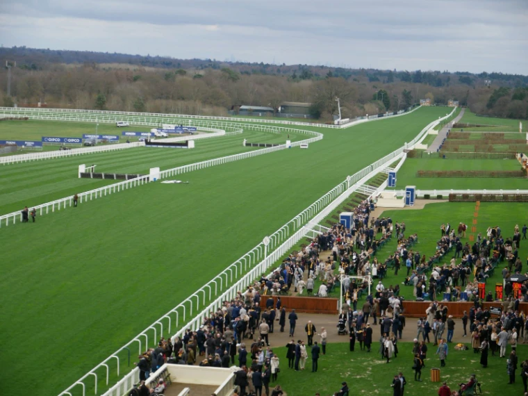Racegoers gathered on the lawn beside the white rails of the straight, the green course running away to the woods, at The Racing Party, New York, the mid-June afternoon in the season calendar of The Mansa Court