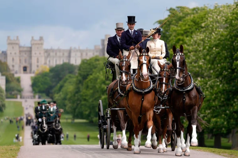 A four-in-hand coach with whips in top hats drives down the Long Walk, Windsor Castle behind and more carriages following. The Royal Windsor Horse Show in the Home Park, Windsor, in the season calendar of The Mansa Court