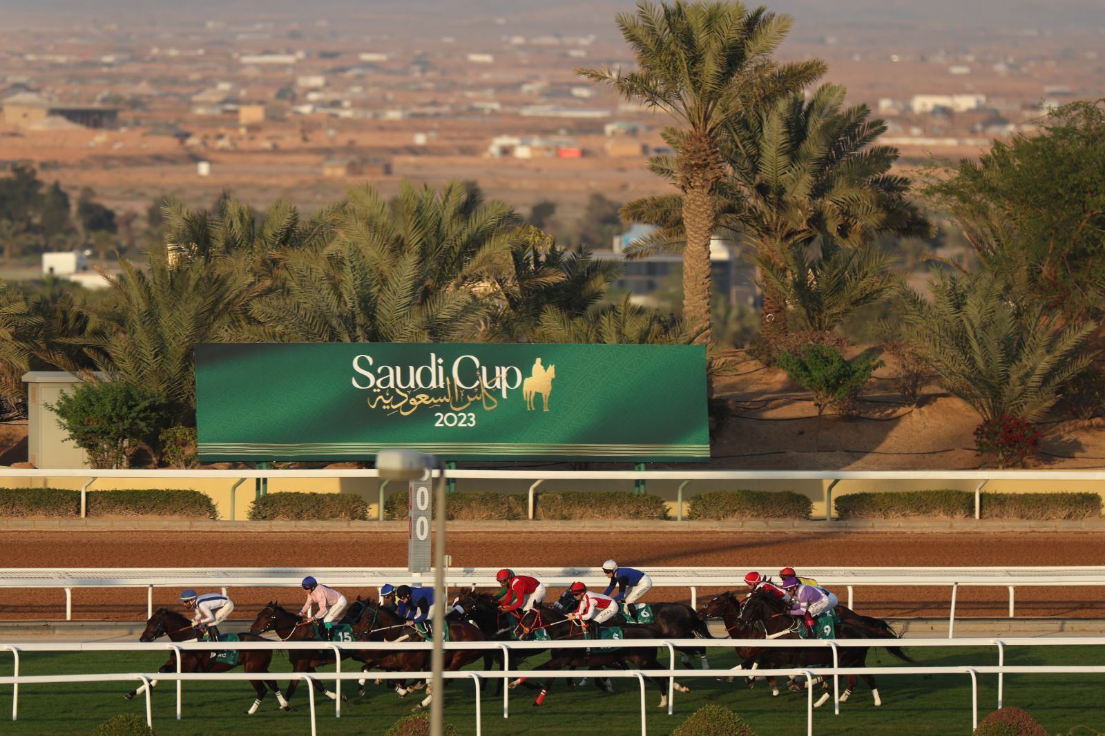 The field strung out along the turf course below date palms and the Riyadh plain at The Saudi Cup