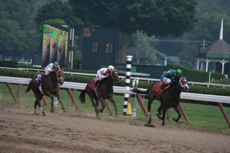 Three racehorses and jockeys come down the dirt stretch past the white rail, with the tote board, a gazebo and tall trees behind (2005).