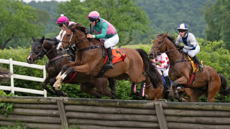 Four horses and their jockeys take a post-and-rail timber fence together, the green hills of the hunt country behind. The Virginia Gold Cup at Great Meadow, The Plains, Virginia, in the season calendar of The Mansa Court