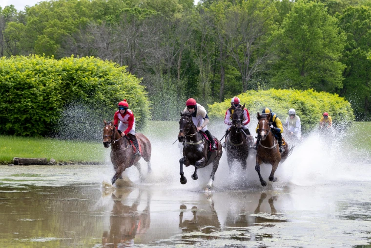 The field splashes through the water crossing at full gallop, spray rising against the spring woods. The Virginia Gold Cup at Great Meadow, The Plains, Virginia, in the season calendar of The Mansa Court