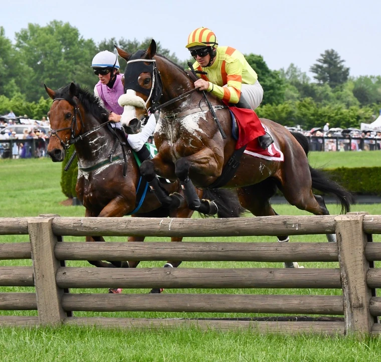 Two horses rise together over a timber rail fence, the racegoers lining the course beyond. The Virginia Gold Cup at Great Meadow, The Plains, Virginia, in the season calendar of The Mansa Court