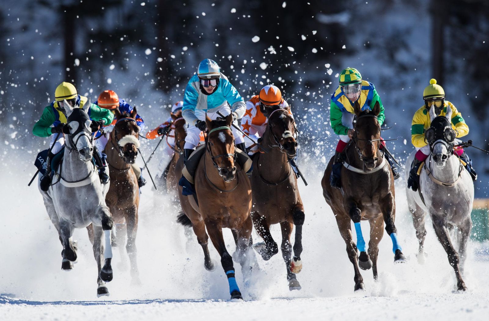 Thoroughbreds and jockeys racing head-on through flying snow on the frozen lake at White Turf, St. Moritz