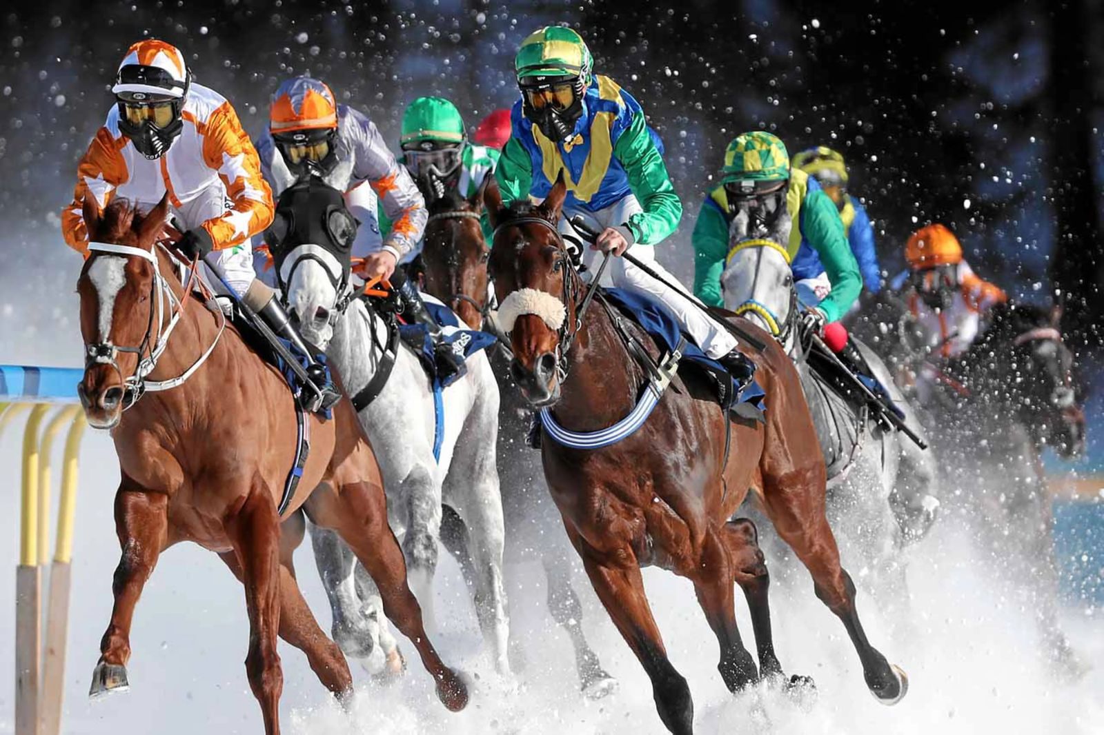 Jockeys in goggles and masks riding the turn in close company at White Turf, St. Moritz